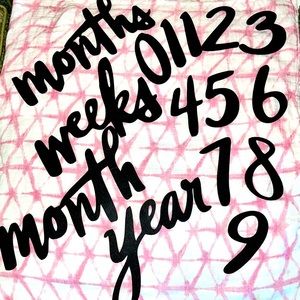 Baby Milestone numbers NWOT